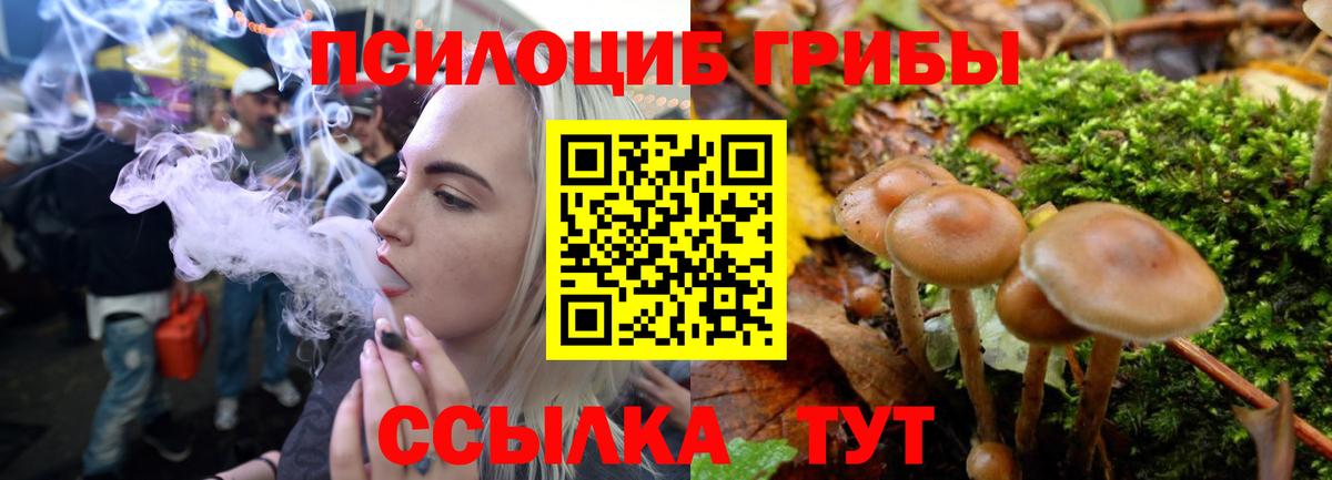 Ессентуки  Галлюциногенные грибы Cubensis  Вход с VPN 